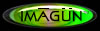 IMAGUN web design naples florida